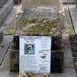 1800.jpg