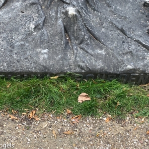 2459.jpg