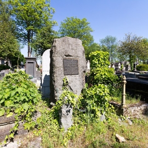2698.jpg