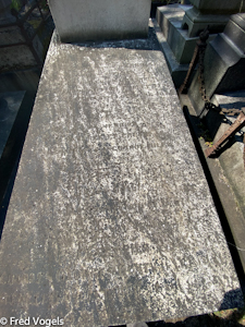 pl-338.jpg